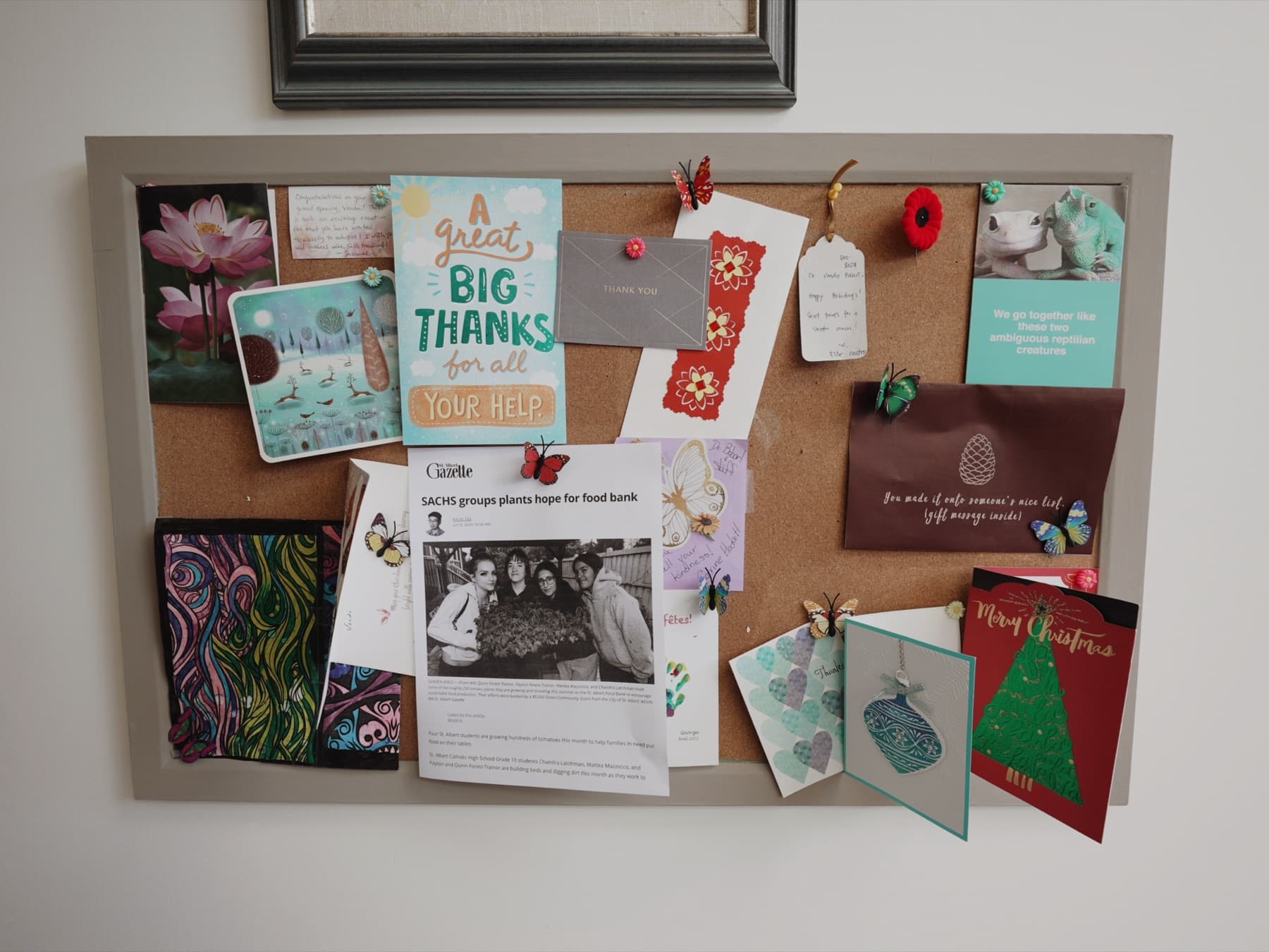 Cards and community notes displayed inside Solis Medical Clinic