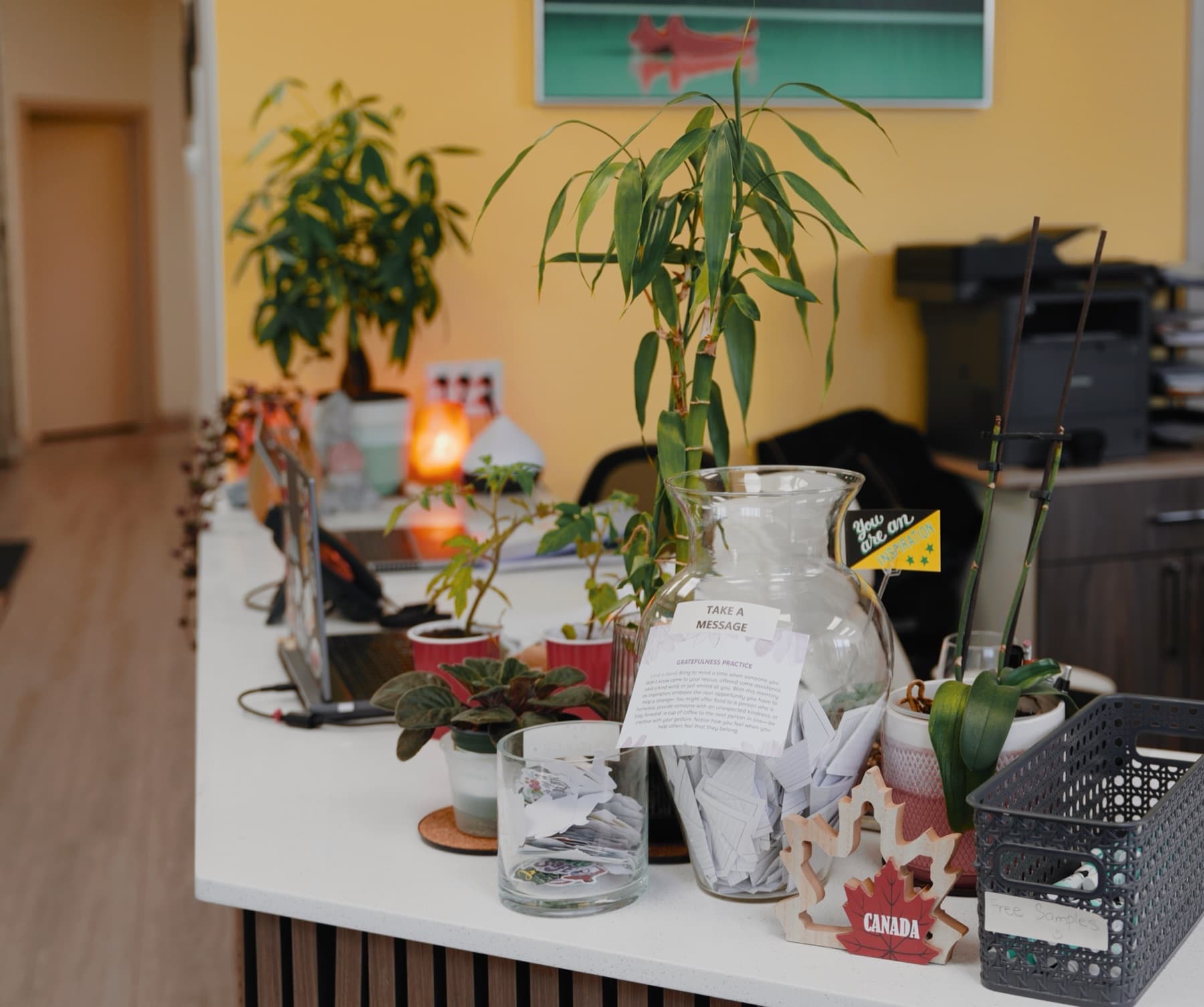 Plants and gratitude messages at the Solis Medical Clinic reception desk