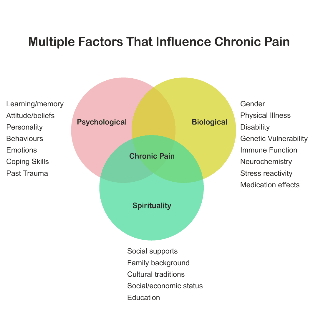 Diagram of the many factors that influence chronic pain, including biological, psychological, social, environmental and spiritual factors